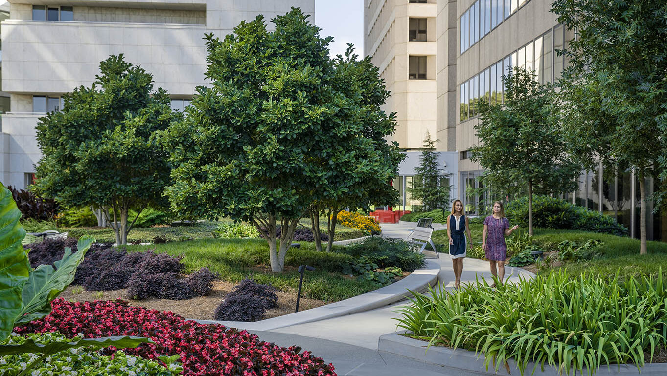 Coca-Cola Headquarters walking paths through garden