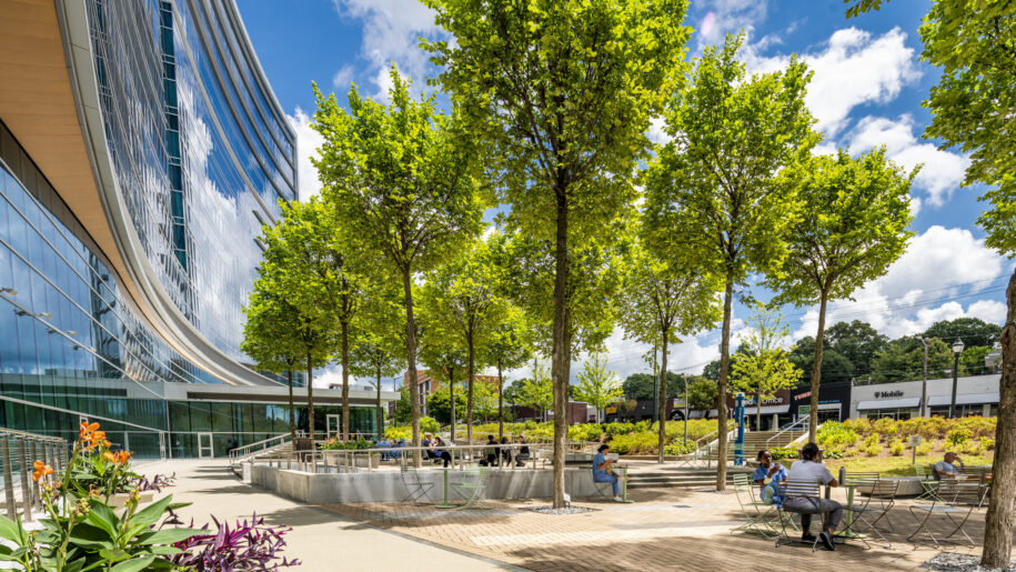 Tall trees and brick patio seating area outside Piedmont Atlanta Hospital