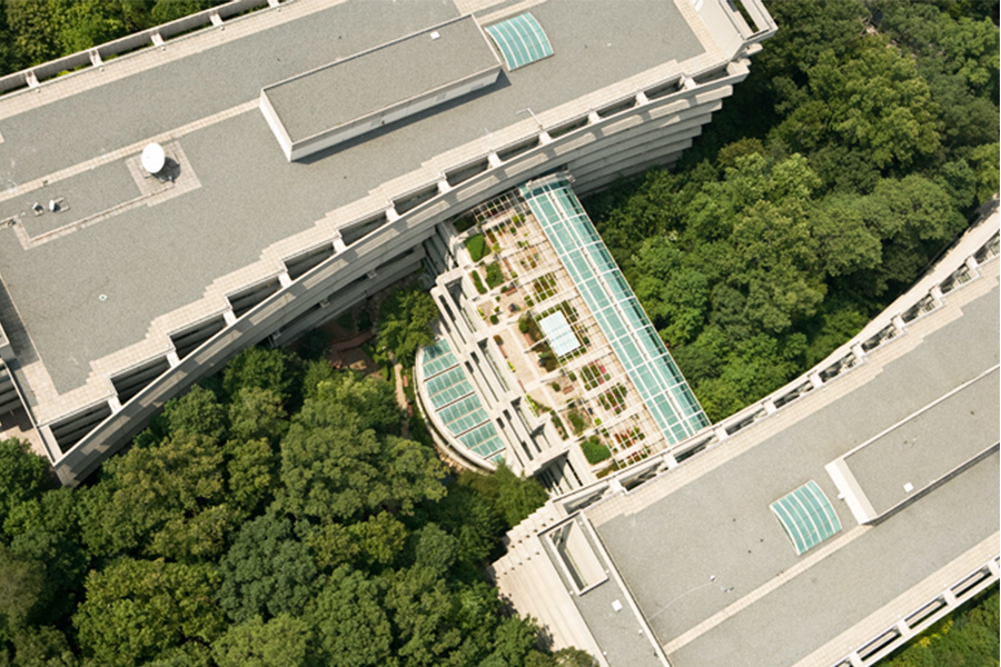Eagle eye view of building within trees