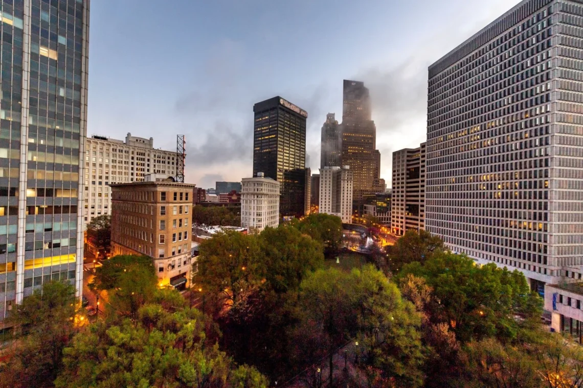 What do 8,000+ trees in a downtown urban setting look like?