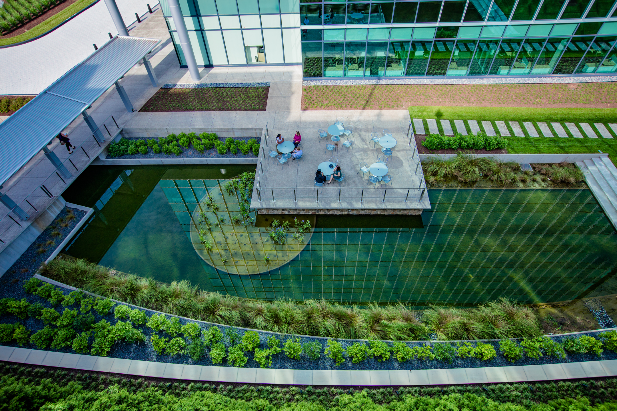 Franklin Park pond and landscaping by patio seating area