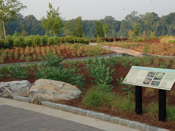 2006 Johns Creek Environmental