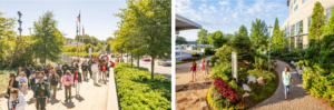 Mercedes-Benz Stadium (left) minimizes maintenance requirements by using large-scale, broad sweeps of single species, while NGMC Gainesville (right) features detailed garden spaces tended to by dedicated maintenance staff.